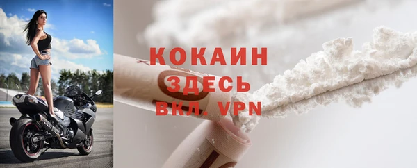 PSILOCYBIN Гусиноозёрск