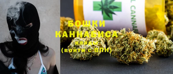 PSILOCYBIN Гусиноозёрск