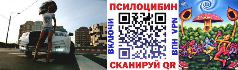 blacksprut ссылки  Макарьев  Псилоцибиновые грибы Cubensis 